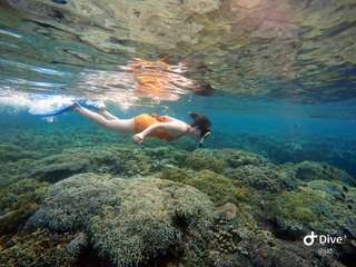 Bunaken snorkeling 2x with alat snorkeling and makan siang, Rp 1.000.000