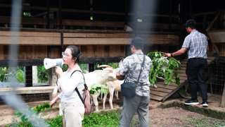 Learn to Organic Planting, Cheese Making for a Day! | Bali Eco Farm Ubud, Rp 295.000