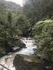 The two virgin waterfalls in the upper reaches have abundant water and clear streams. The most common fish species are Kuhua and Xige