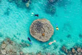 Whitsundays Combo: Scenic Flight and Rafting Tour