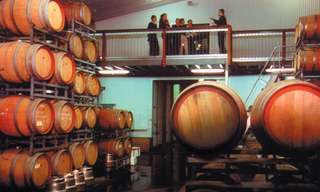 Swan Valley Wine Cruise - Full Day 