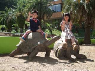 Up to JP¥200 discount | iZoo & KawaZoo Mutual Admission Ticket | Available on the day | Shizuoka, Japan