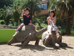 Up to JP¥200 discount | iZoo & KawaZoo Mutual Admission Ticket | Shizuoka, Japan, Rp 241.320