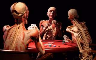 1 Day Hop-on Hop-Off Sightseeing Bus with Priority Access to Body World