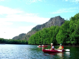 Langkawi Mangrove Geopark by Kayak 4