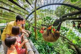 Singapore Zoo Tickets