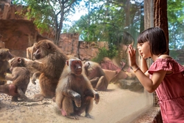 Tiket Kebun Binatang Singapura | Cagar Alam Liar Mandai, Singapura
4