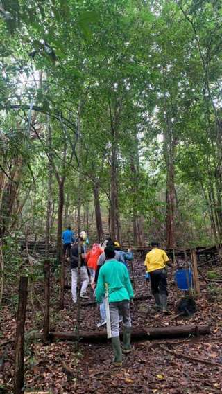 Full Day Trekking Mount Lumut, AU$51