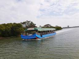 [10% discount] Tainan Sicao: Taijiang Sightseeing Cruise Ticket with Free Tongji Anping Tofu Pudding