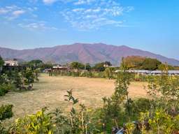 [Good place for camping in Hong Kong] Luohan Garden in Tai Kong Po｜Car camping, day camp, RM 151