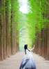 Nami Island + Hanbok Experience (Package K)