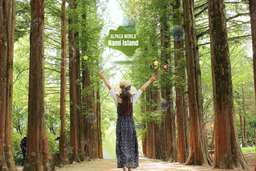 Nami Island , Hanbok Experience , Petite France, Little Italy, Garden of Morning Calm, Rail Bike, Alpaca World | Korea, USD 58.60