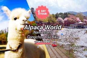 Nami Island , Hanbok Experience , Petite France, Little Italy, Garden of Morning Calm, Rail Bike, Alpaca World | Korea