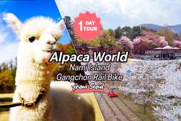 Nami Island , Hanbok Experience , Petite France, Little Italy, Garden of Morning Calm, Rail Bike, Alpaca World | Korea, USD 61.35