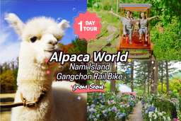 Nami Island , Hanbok Experience , Petite France, Little Italy, Garden of Morning Calm, Rail Bike, Alpaca World | Korea, USD 61.51