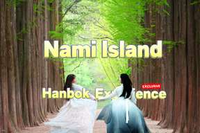 Nami Island , Hanbok Experience , Petite France, Little Italy, Garden of Morning Calm, Rail Bike, Alpaca World | Korea