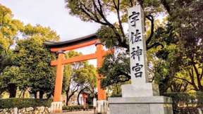 Yabakei Day Tour | Aonodomon & Hitome Hakkei Observation Deck (Autumn Only), Usa Jingu, Yufuincho Kawakami, Ajimu Winery | Depart from Hakata | Kyushu, Japan