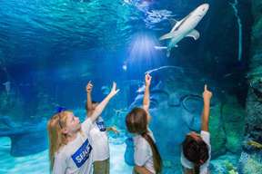 Sea Life Orlando Aquarium Ticket | Florida