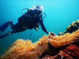 富国岛南部水肺潜水体验 | 越南富国岛
