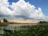 แวะชม Lotus Lake ที่อยู่ในอ้อมกอดของ White Sand Dune