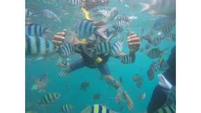 One Day Karimunjawa Sea Tour Package