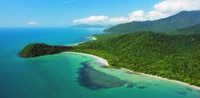 Cape Tribulation and Daintree Wildlife Day Tour from Cairns