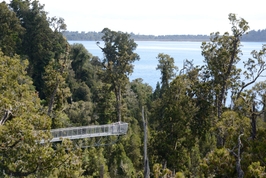 West Coast Tree Top Tower Ticket 4