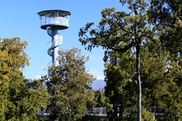 West Coast Tree Top Tower Ticket 2