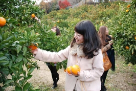 ทัวร์ฟูจิหนึ่งวัน | เก็บผลไม้ภูเขาไฟฟูจิ สถานีภูเขาไฟฟูจิชั้นที่ 5 & สวนอาราคุระยามะเซ็นเก็น (ออกเดินทางจากชินจูกุ) | ญี่ปุ่น 2