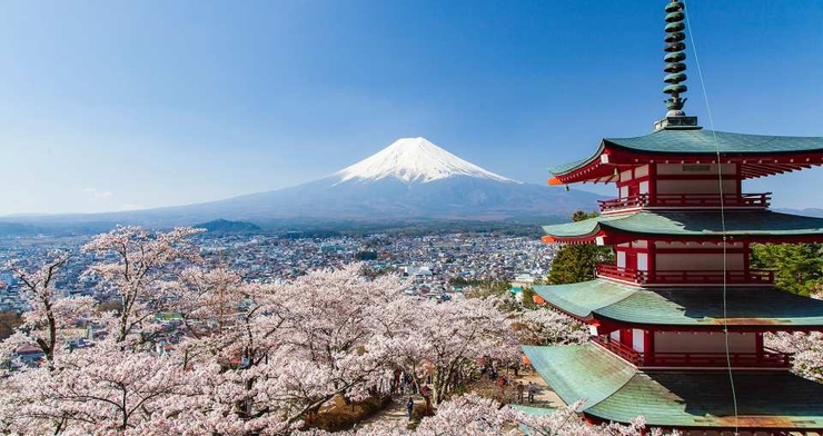 ทัวร์ฟูจิหนึ่งวัน | เก็บผลไม้ภูเขาไฟฟูจิ สถานีภูเขาไฟฟูจิชั้นที่ 5 & สวนอาราคุระยามะเซ็นเก็น (ออกเดินทางจากชินจูกุ) | ญี่ปุ่น 1