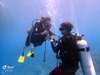 Be led by a professional coach with diving experience