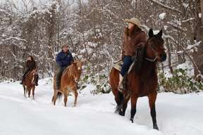 [Hokkaido Unique Experience] Snow Horse Riding in Sapporo with Round-Trip City Transfer | Japan