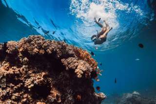 Introduction to Freediving/ Basic Freediving 1-Day Course  | Philippines