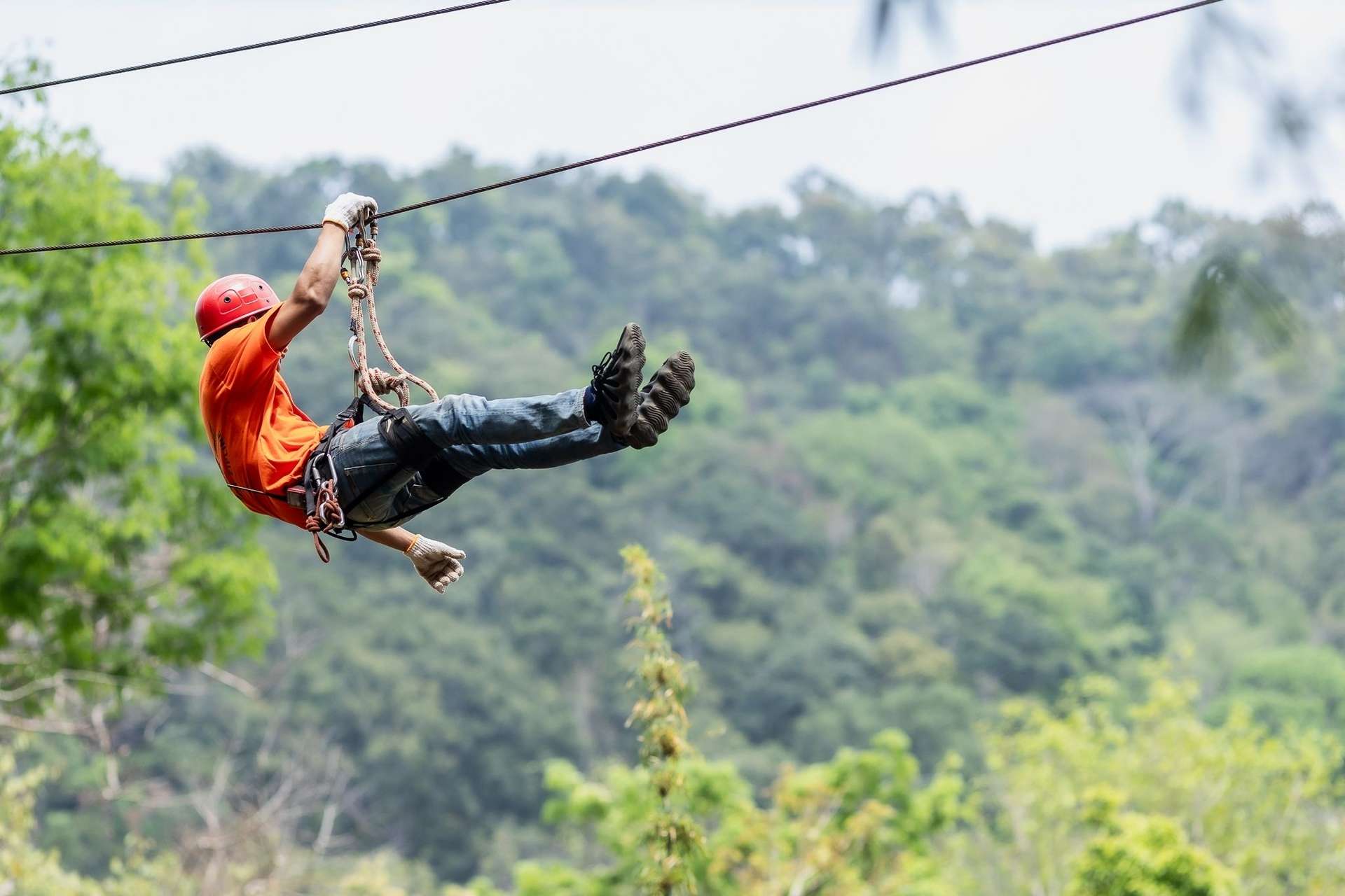 Buy Flying Eagle Zipline Tickets - Flying Eagle Zipline 6e2fc685 83da 48f2 8855 725d662d2f79