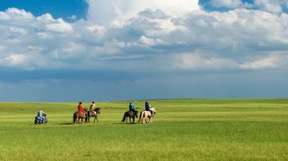 2-Day Inner Mongolia Tour to Grassland and Hohhot