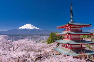Tur Fuji Hakone & Pembuatan Ramen oleh Limon Bus - 1 Hari
