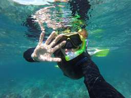 Manly Snorkel Tour with Guided Walking Tour