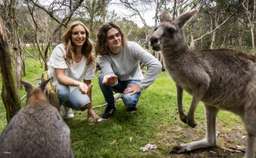 [Eco Tour] Phillip Island Wildlife and Brighton Beach Boxes Bus Tour from Melbourne | Victoria, USD 104.55
