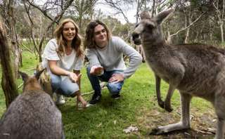 [Eco Tour] Phillip Island Wildlife and Brighton Beach Boxes Bus Tour from Melbourne | Victoria