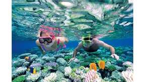 Explore & Snorkel to Gili Kondo, Gili Bidara, Gili Kapal, & Gili Petagan