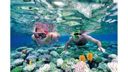 Explore & Snorkel to Gili Kondo, Gili Bidara, Gili Kapal, & Gili Petagan, USD 62.77