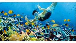 Nusa Penida Snorkeling and Island Tour, VND 1.480.900