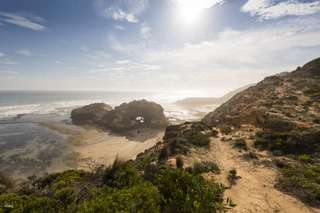 [Eco Tour] Around the Bay Sightseeing & Bay Cruise from Melbourne | Victoria