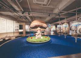 Taichung: Wufeng Mushroom Industry and Academia Center Tickets