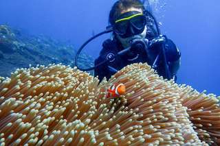Full Day Try Scuba Diving at USAT Liberty Ship Wreck Tulamben, RM 443