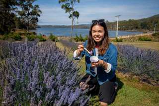 Port Arthur & Lavender Day Tour from Hobart | Tasmania, USD 104.48