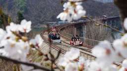 Nami Island, Petite France, Italian Village and Gangchon Rail Bike Day Trip, VND 1.911.953