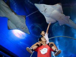 Underwater World Pattaya Tickets