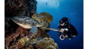 BUNAKEN DIVING - ONE DAY - 2X MENYELAM - KEBERANGKATAN MANADO 