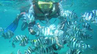 Snorkeling Tour in Blue Lagoon, 448.110 VND